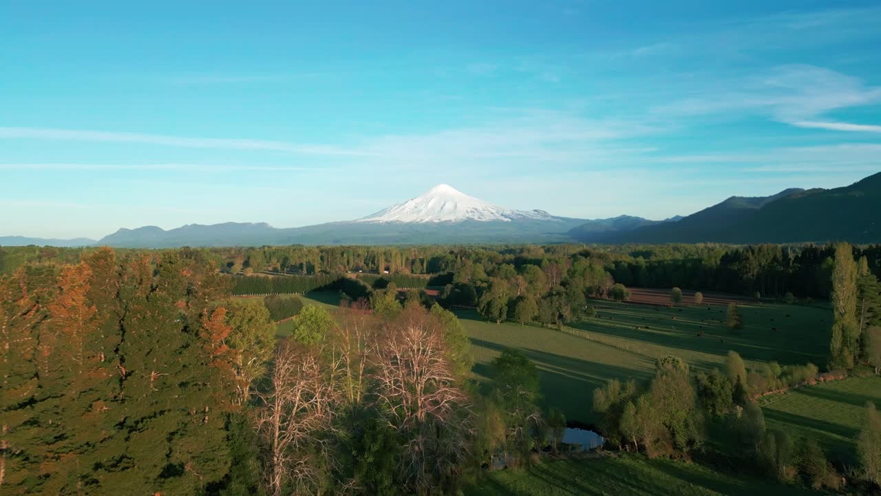 Panoramica aerea con drone su un parco e uno stagno verso il vulcano Villarrica innevato, alberi con colori autunnali e lunghe ombre nella luce dorata del pomeriggio