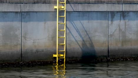 yellow ladder at the port edge leading out of the water in 4k 60p