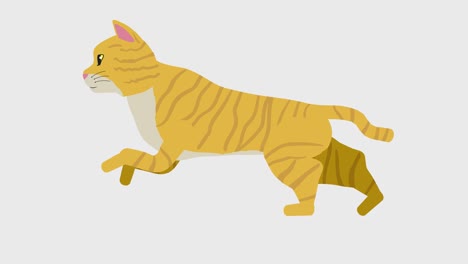 animación de bucle de ilustración de gato en ejecución (resolución 4k, transparencia de fondo)