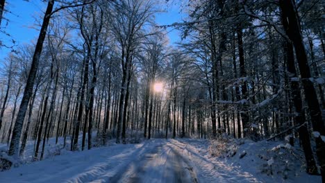 Walking-on-a-path-in-a-snowy-and-cold-forest-during-the-wintery-evening,-the-sun-is-setting-behind-the-trees