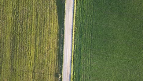 road separating two farm fields of green color