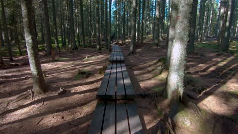 Hiking-through-woods-on-footbridge,-path-through-forest,-first-person-view-walking
