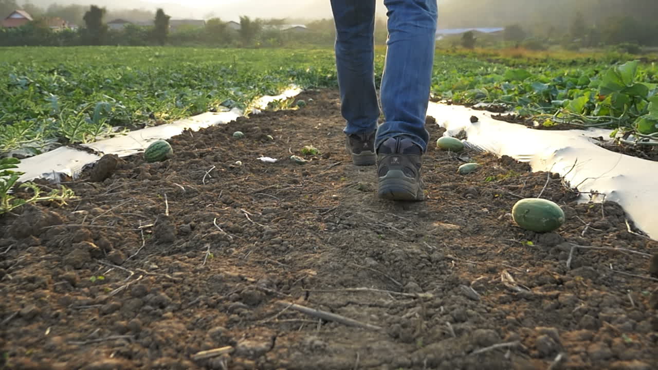 Pies de agricultor caminando en el campo