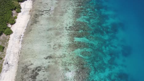 Aerial-view-of-paradise-beach-shore-and-coral-reefs-in-a-tropical-bay-with-turquoise-waters