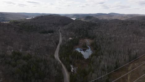 empty road between the mountain forest in tremblant, quebec, canada