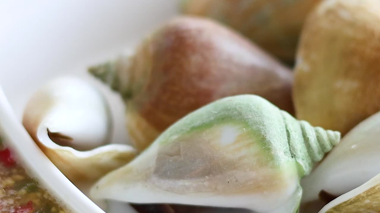 A detailed close-up shot of various conch shells arranged as a seafood appetizer in Thailand
