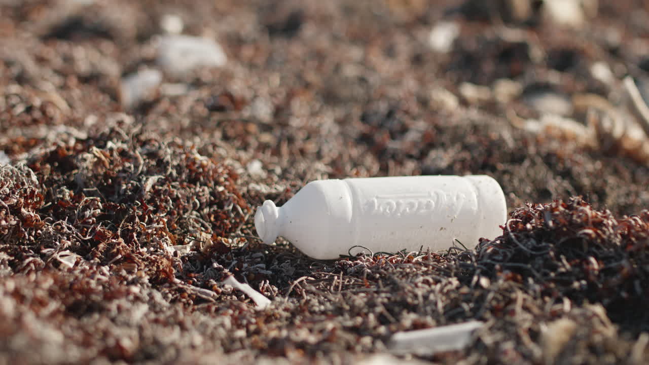 멕시코 사르가섬 의 플라스틱 폐기물