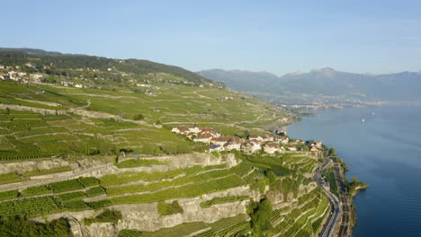 terraza de viñedos en las colinas de las montañas cerca del pueblo de rivaz con vistas al lago de ginebra en suiza