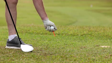 golfer carefully placing ball on tee.