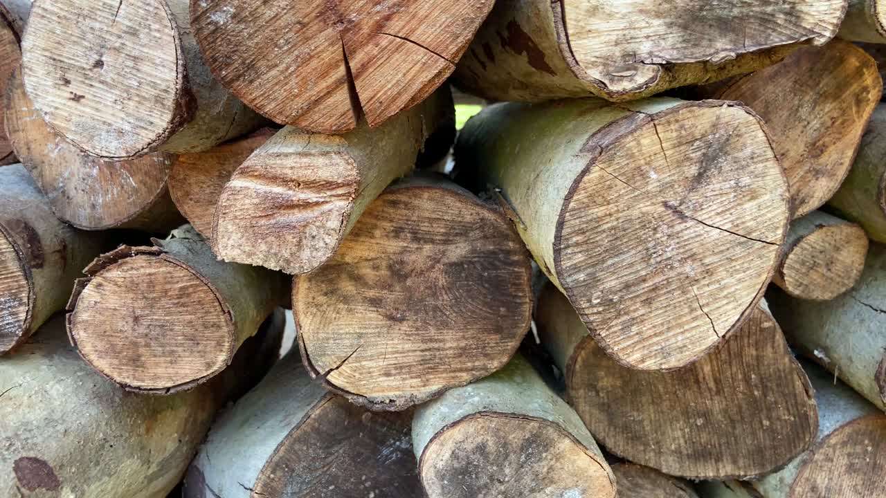 쌓인 잘라진 나무 어리