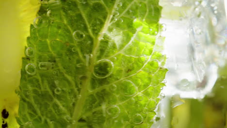 fresh kiwi and mint drink