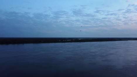 lateral shot of birds flying over paraguay river in city of zanjita at sunset