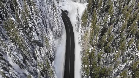 Camino-Ventoso-Con-Curvas-En-El-Bosque-Cubierto-De-Nieve,-Vista-Aérea-De-Arriba-Hacia-Abajo-1