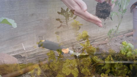 animation of leaves over biracial woman gardening