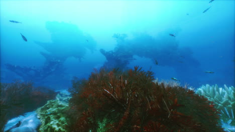 beautiful underwater coral reef scene with fish