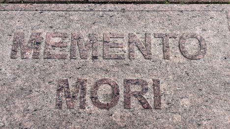close-up of engraved memento mori text on weathered stone slab with a black bug crawling on the surface. suitable for symbolic, philosophical stoic quotes and self-improvement content.