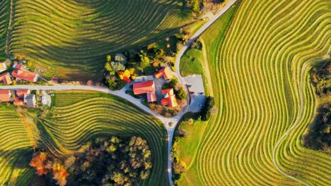 stunning aerial 4k drone footage of an wine region of jeruzalem, slovenia