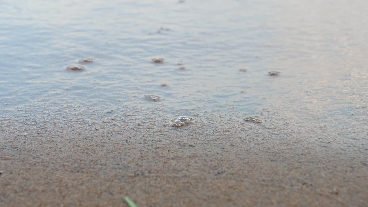 평화로운 고요한 파도가 모래 해안선에 밀려와 - cu 해변과 물 속의 거품