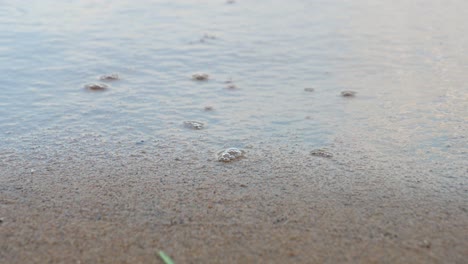 peaceful serene waves washing up on sandy shoreline - cu beach and bubbles in water