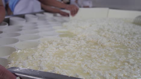 fermented milk is flowed into the pipes in the cheese production process