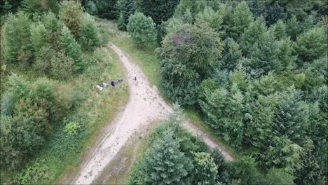 a drone flying around just one of the thousands of forests of the united kingdom