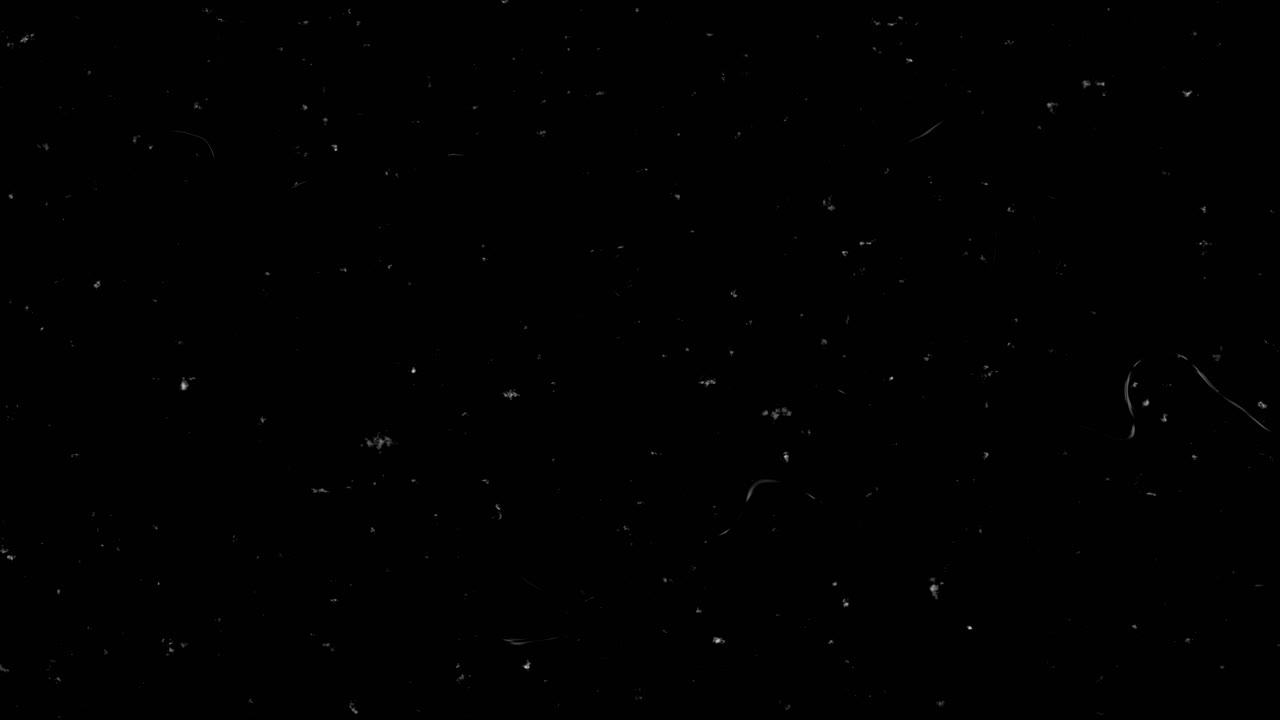 Digital glitch error creative glitch texture motion glitch interlaced distorted textured futuristic