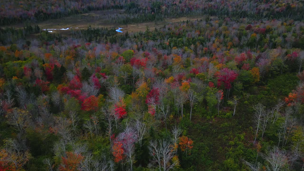 dolly aéreo empujar en la inclinación por encima de los árboles de finales de otoño en new hampshire revela el valle en las sombras