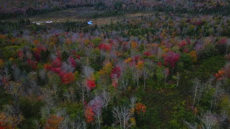 Aerial-dolly-push-in-tilt-up-above-late-fall-trees-in-New-Hampshire-reveals-valley-in-the-shadows