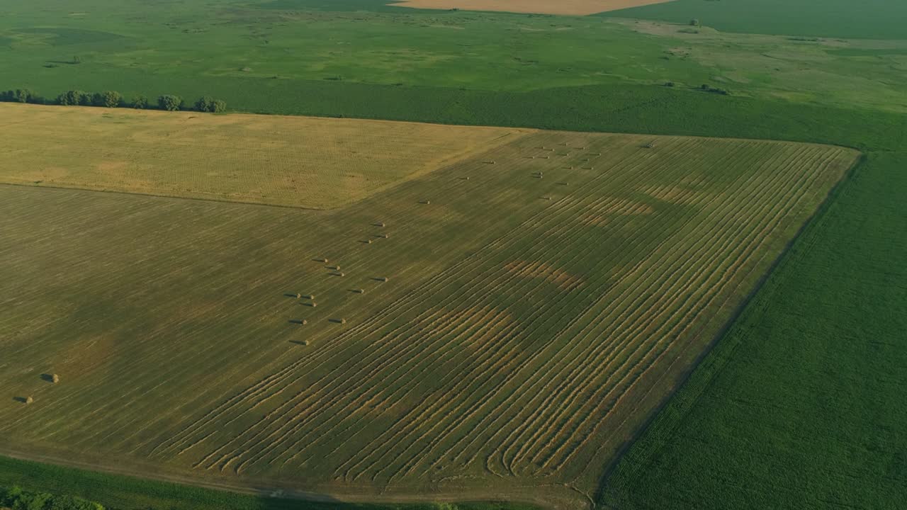dron tiro amplio pajar y la cosecha de hierba seca, balas de heno aéreas en el campo