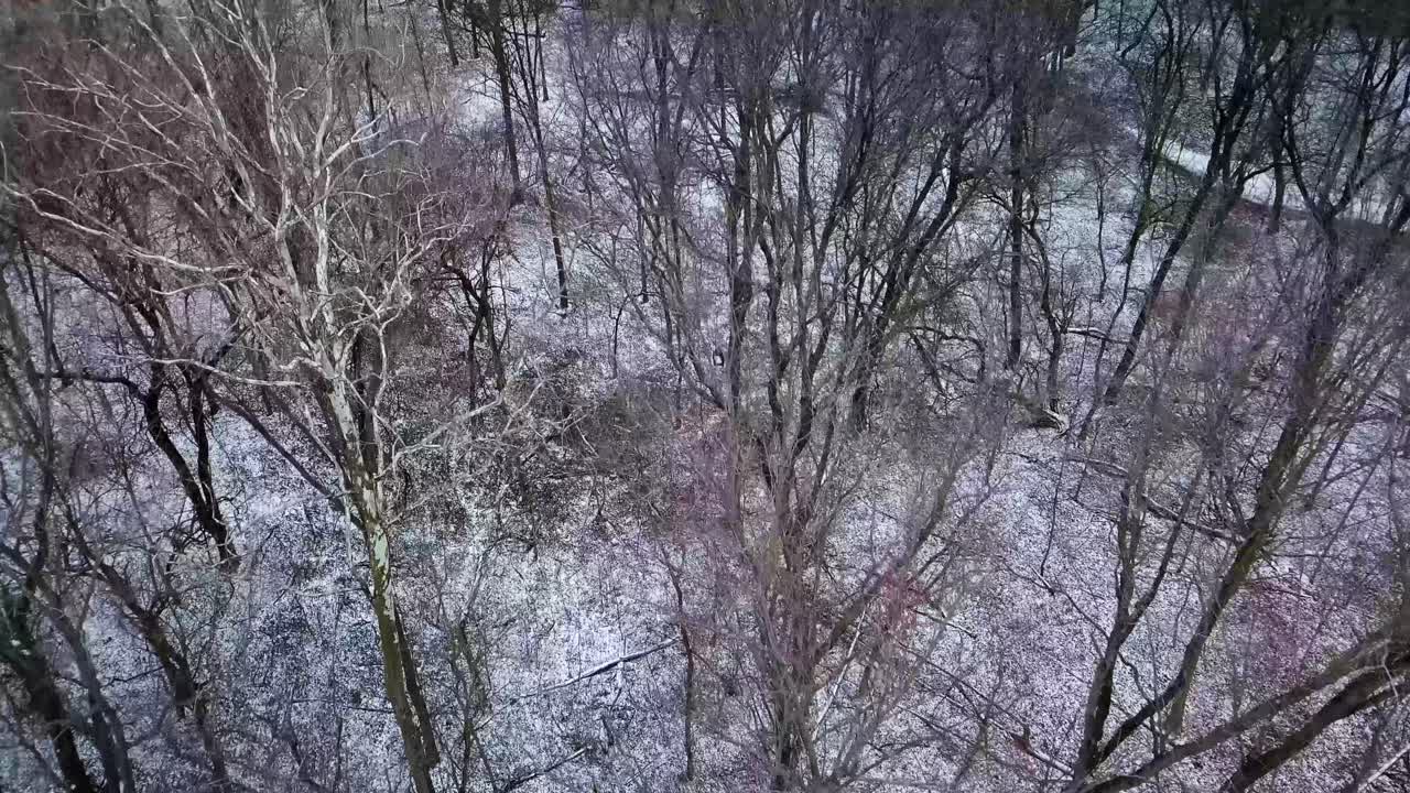 Veduta aerea di un paesaggio bianco coperto di neve nella campagna di Westfield, contea di Hamilton, Indiana, Stati Uniti