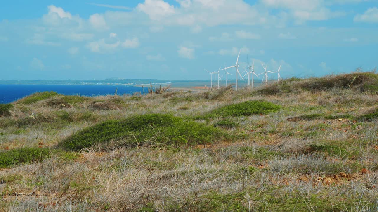 curacao - turbinas de viento en el paisaje verde cerca del mar bajo el cielo brillante - toma amplia