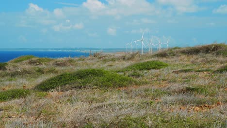 Curacao---Wind-Turbines-In-The-Green-Landscape-Near-The-Sea-Under-The-Bright-Sky---Wide-Shot