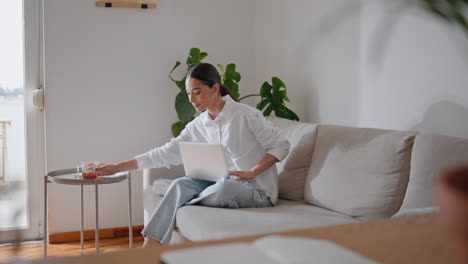 young lady drinking tea texting computer at cozy couch. woman working laptop