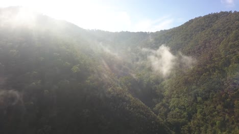 Morning-fog-over-mountain-foothills