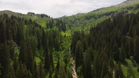 aerial of a small mountain creek surrounded by a green forest and meadow