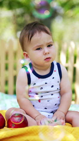cute little child sitting on the blanket outdoors. a box of apples beside the kid. lovely baby watching the soap bubbles fly. blurred nature backdrop. vertical video