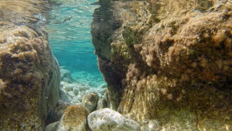 Toma-Subacuática-Del-Agua-Cristalina-De-La-Playa-De-Paralia-Emplisi-Y-La-Superficie-Rocosa