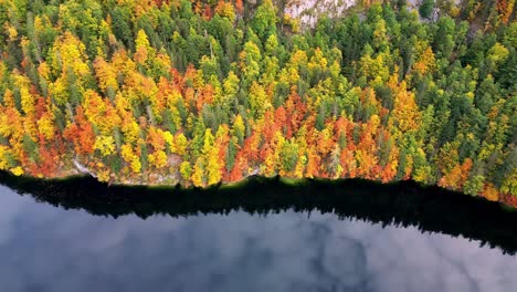 Klarer-See,-Umgeben-Von-üppigen-Grünen-Bergen-In-Der-Ferne,-Mit-Bunten-Blättern,-Die-Auf-Der-Wasseroberfläche-Schwimmen