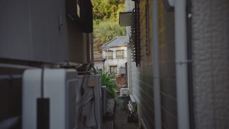 narrow alleyway leading to a house against a hillside