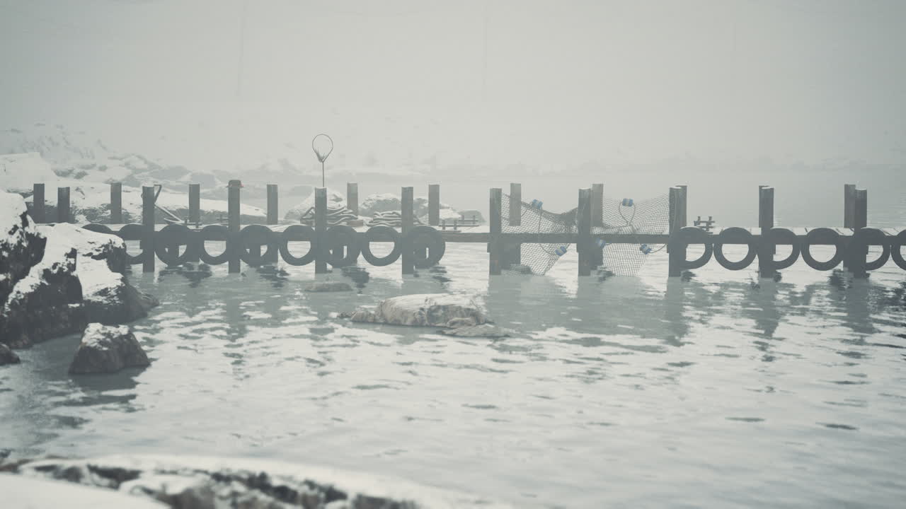 안개 속 의 시망 을 가진 도크