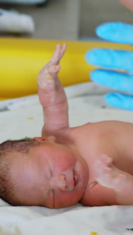 naked newborn baby screams while the doctor examining him. neonatologist's check up in the maternal hospital. vertical video