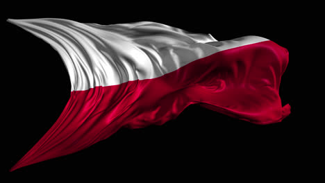 polish flag in motion