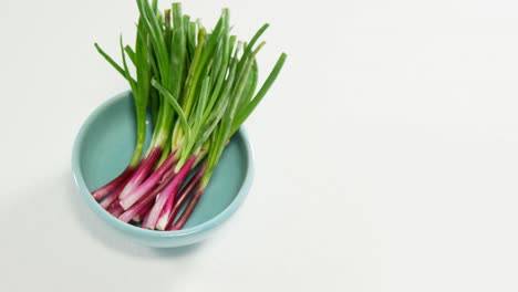 Spring-onion-in-bowl-placed-on-white-surface-4K-4k