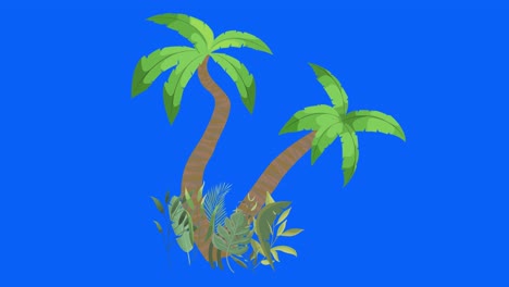 árbol de palma moviéndose por el viento, clave de croma, animación de bucle sin costuras