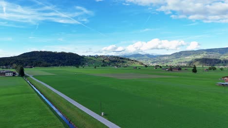 endless green pastures and farmland with alpine horizon, aerial panorama