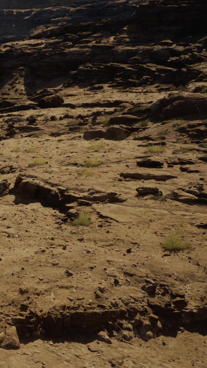 Rocce e piante in un paesaggio arido durante le ore diurne in una zona remota