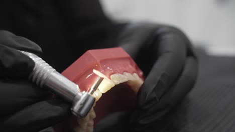 close-up of a dentist working on a dental model