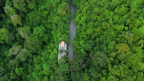 vertical drone shot behind a scooter in the topical forest in the mountains with green palms and trees in 4k on phuket island