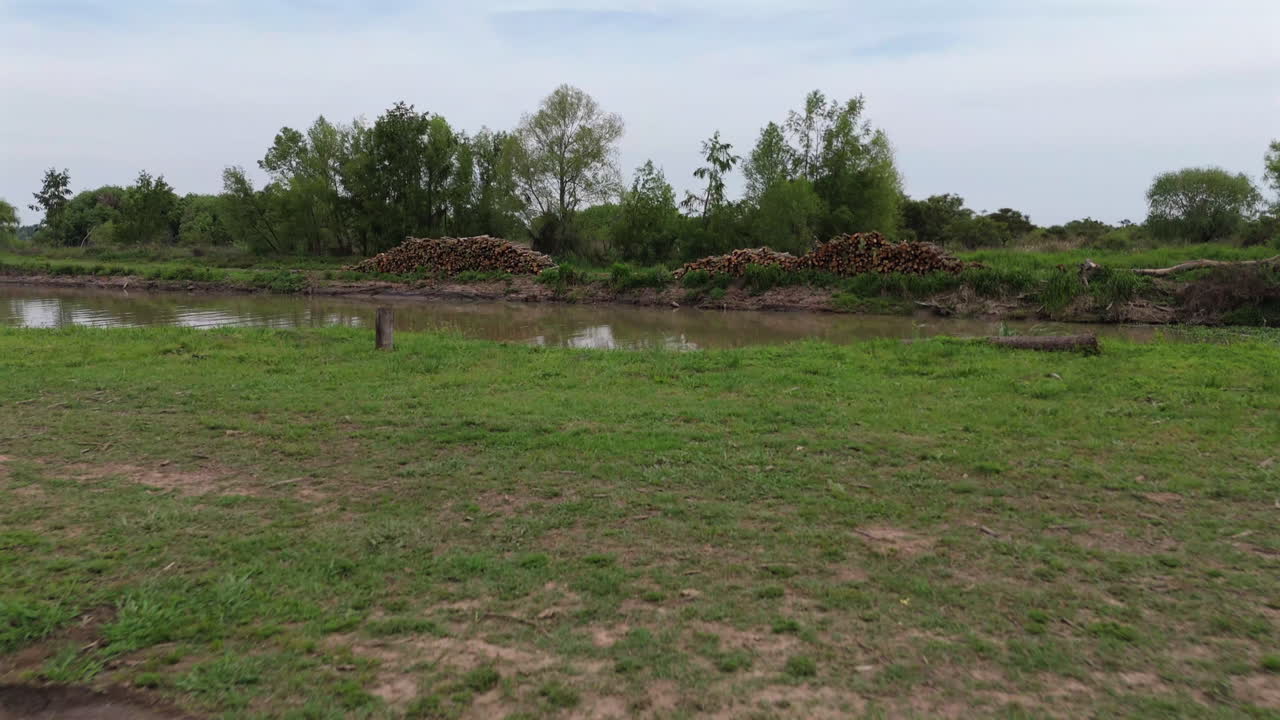 Stacks of freshly cut logs lie near the river in the Paraná Delta, surrounded by dense trees and reflected in the water under a cloudy sky, fast fpv drone shot