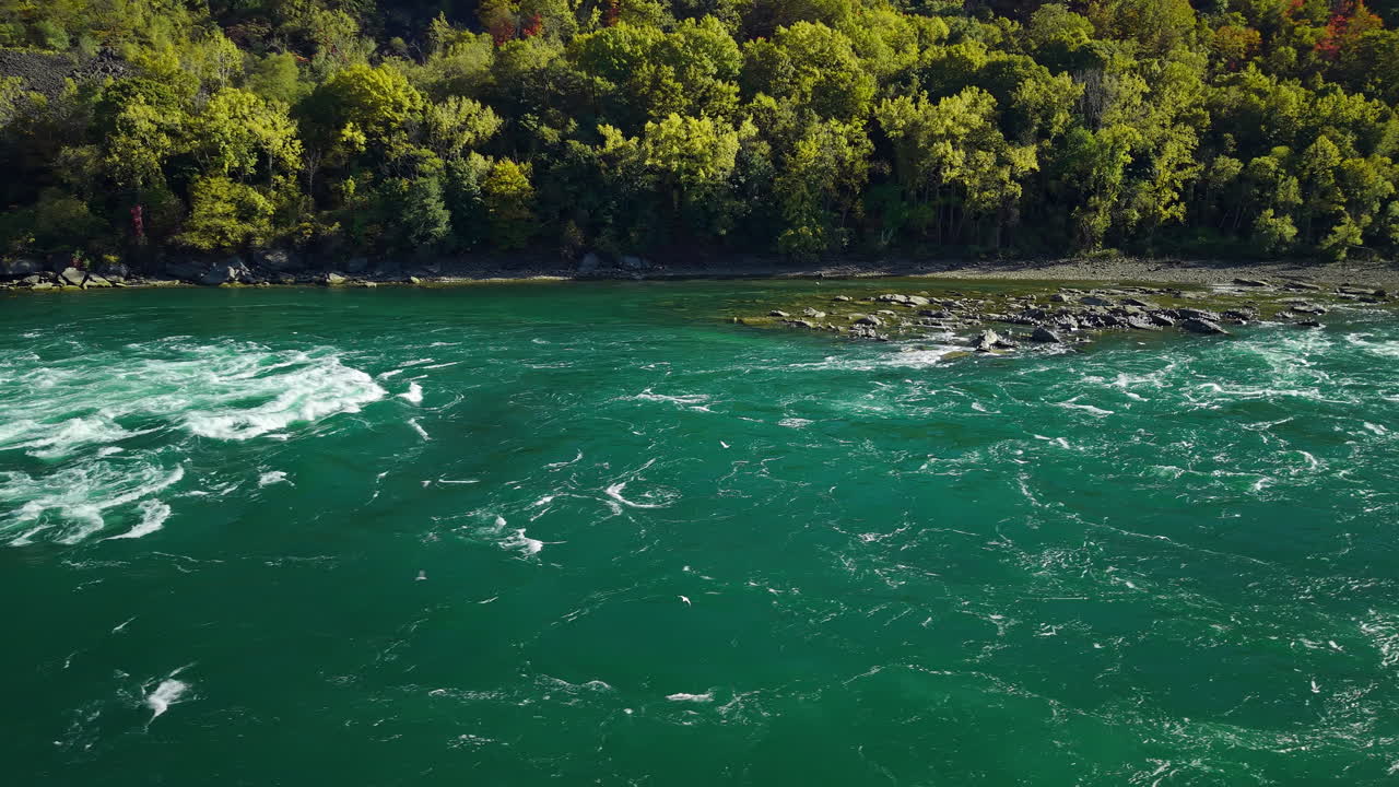 Veduta aerea delle rapide del fiume Niagara e della riva rocciosa con foresta verde in primavera